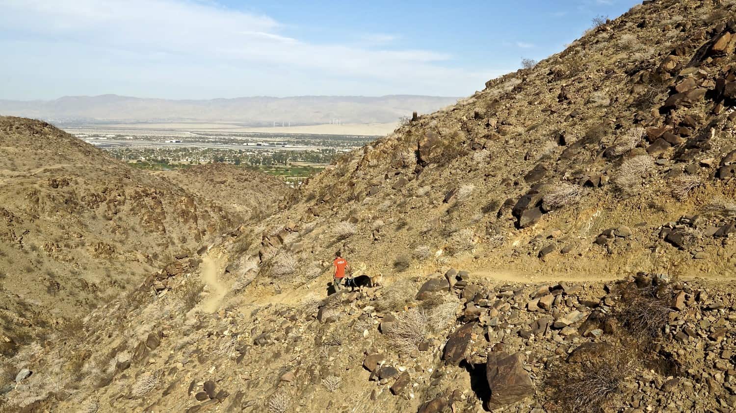 Man and dogs on the pet-friendly Araby Trail in Palm Springs, CA